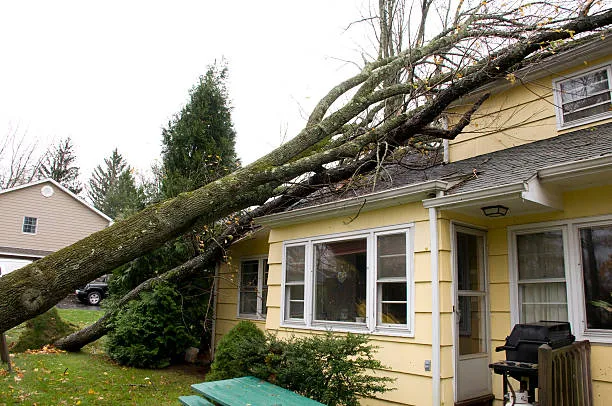 Storm damage repair by True Builders