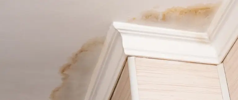 Roof leak repair in Central Florida